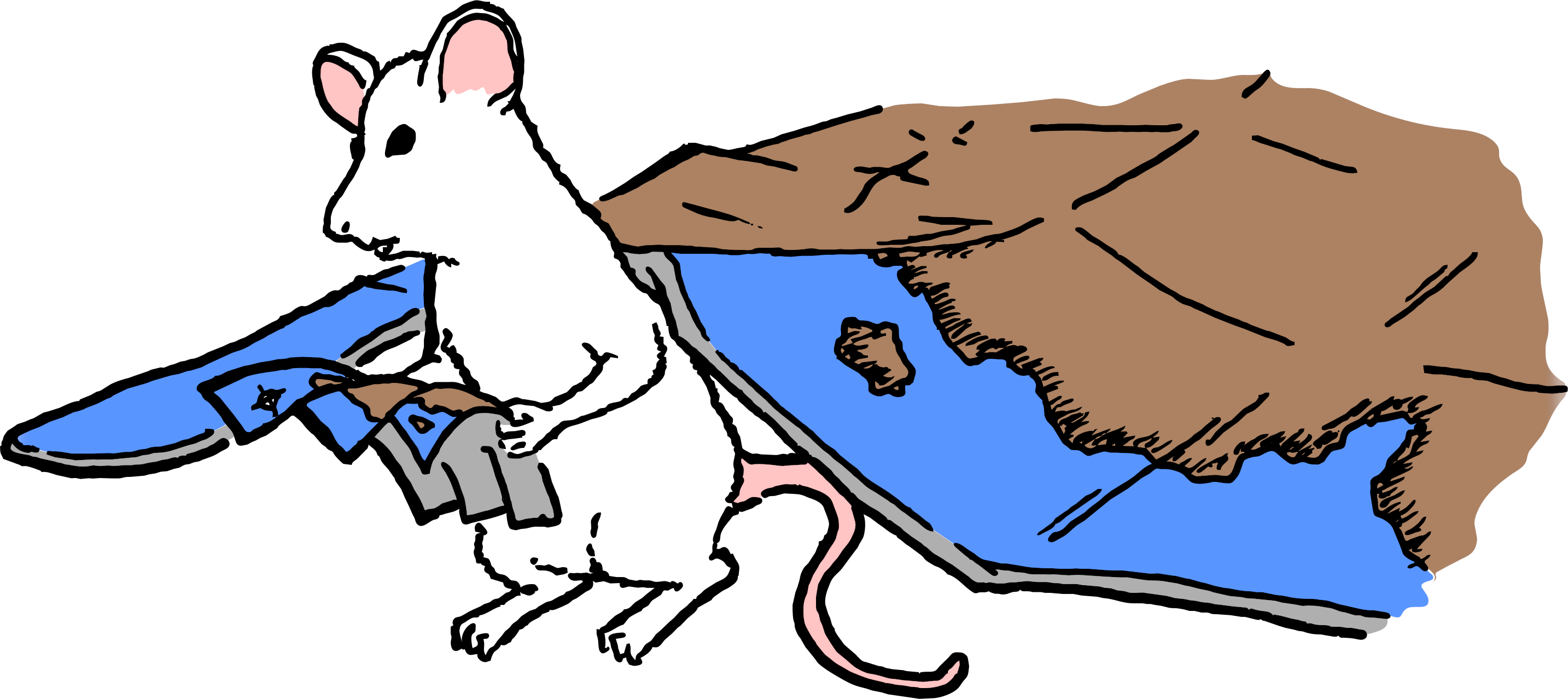 drawing of rodent lookingg at a small paper map, while stood next to a larger paper map