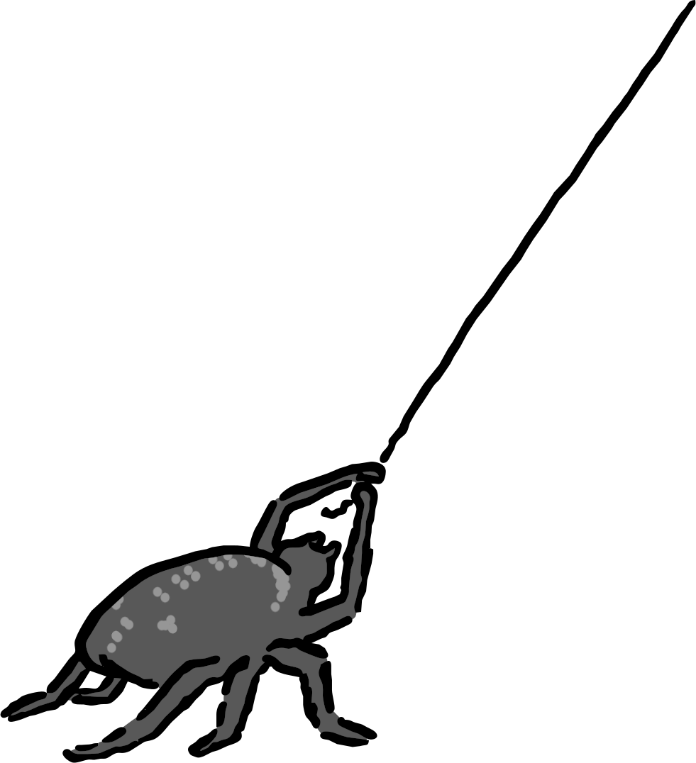 drawing of a spider holding a web