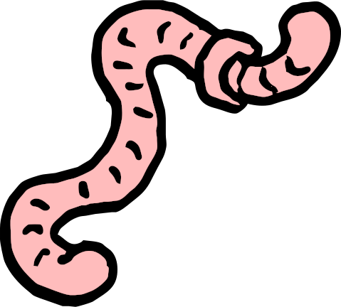 drawing of a worm