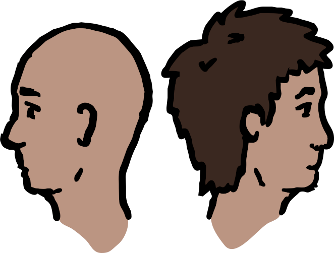 drawing of a two heads, one bald, one with hair