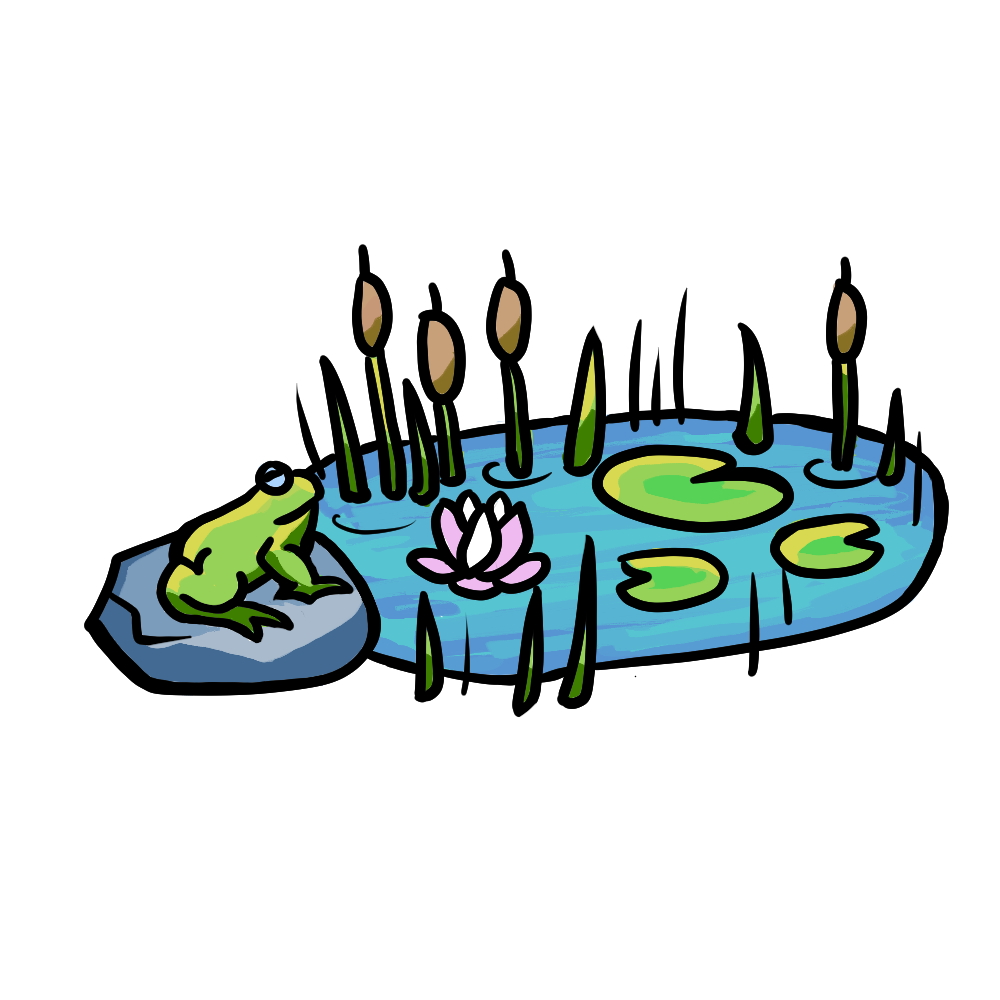 drawing of a pond
