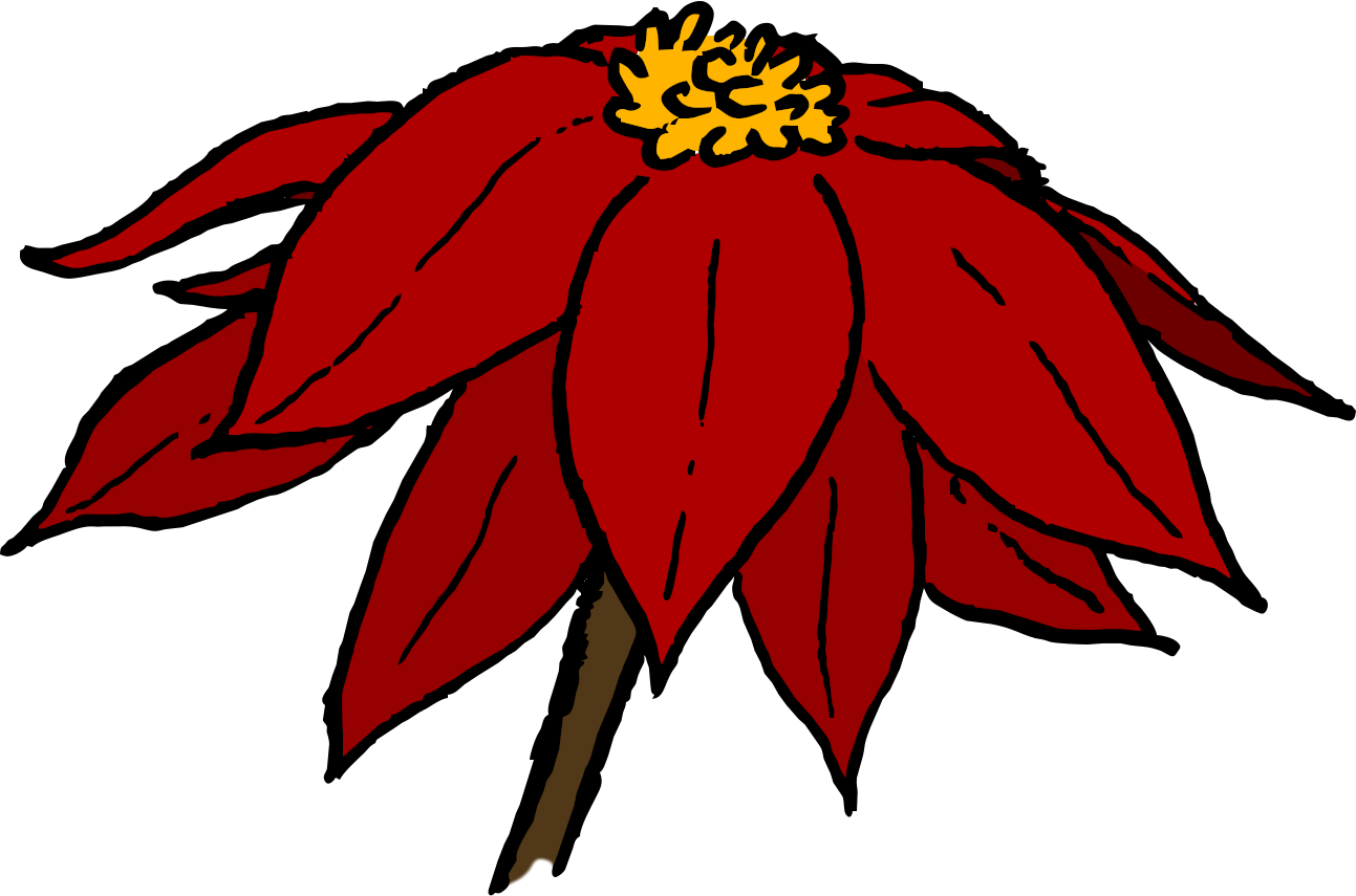 kasi mun li kule wan