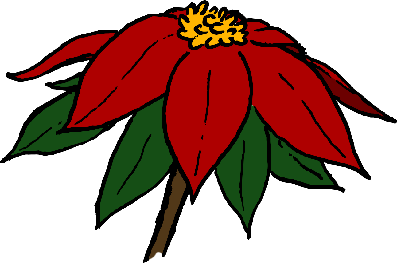 kasi mun li loje li laso